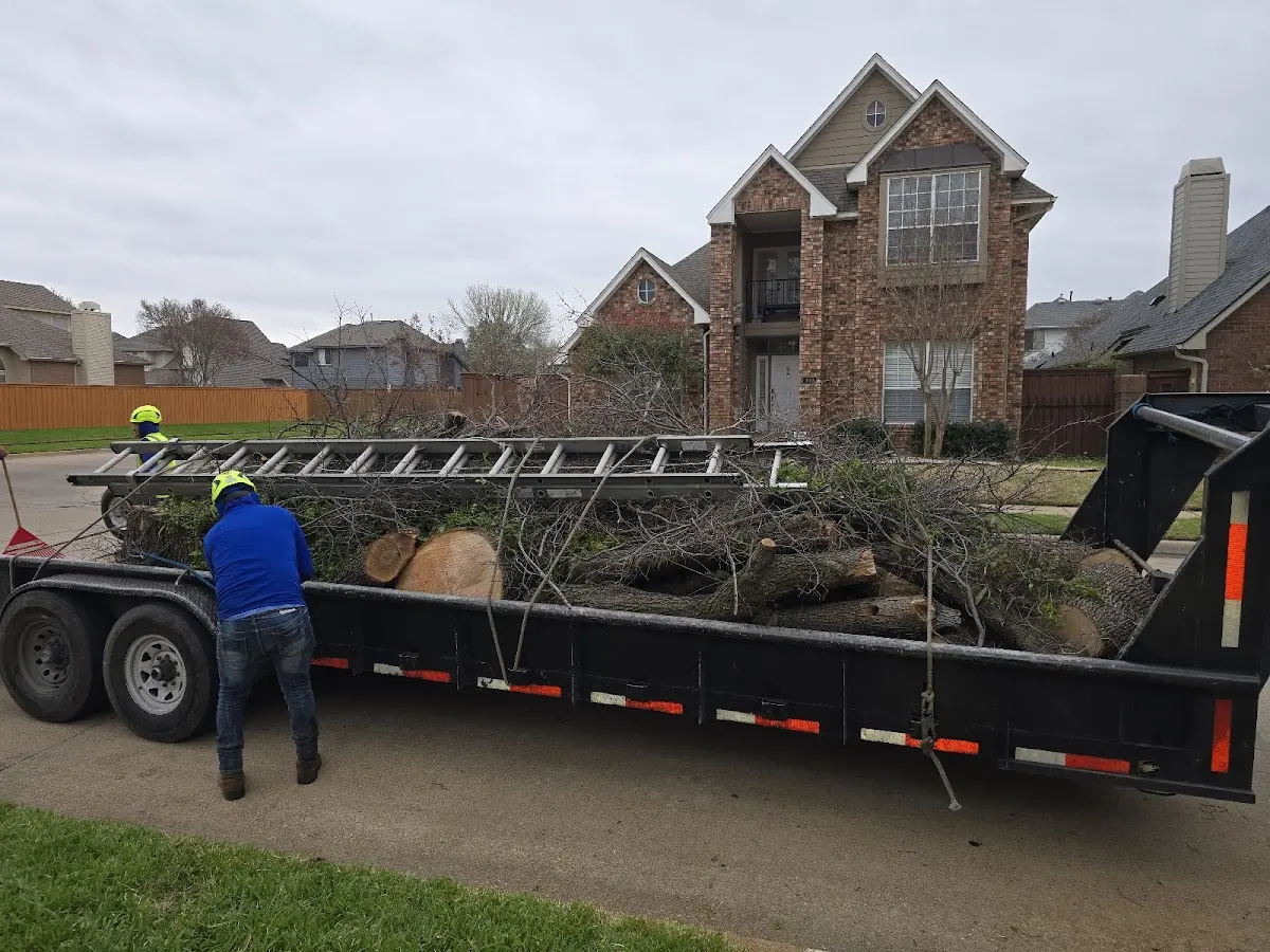 Expert Lot Clearing with proper safety equipment in Oak Ridge